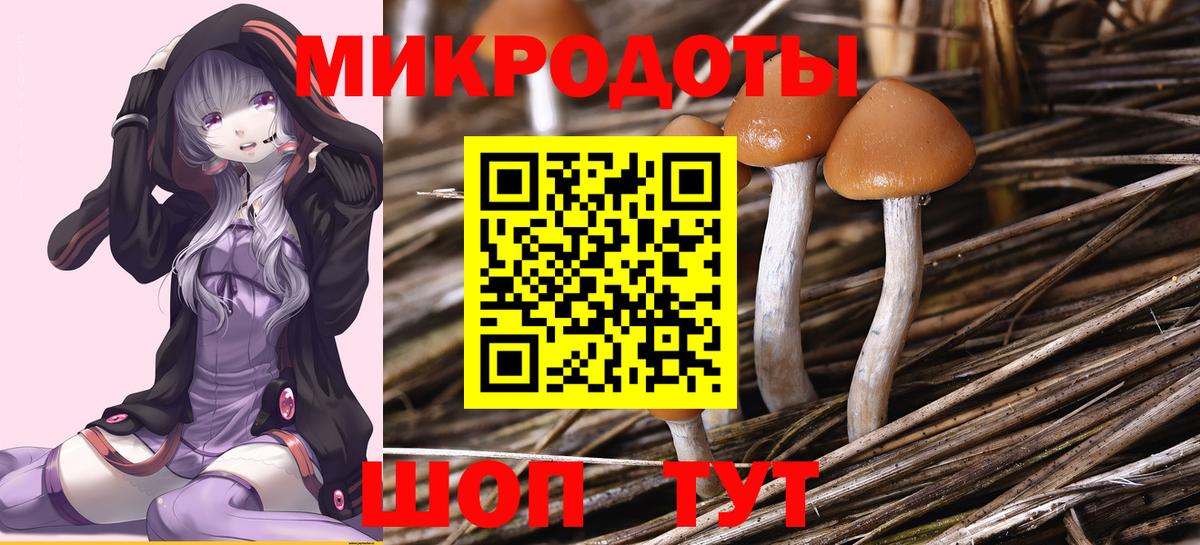 Галлюциногенные грибы мухоморы  Псилоцибиновые грибы ЛСД  Воронеж  Вход с VPN 